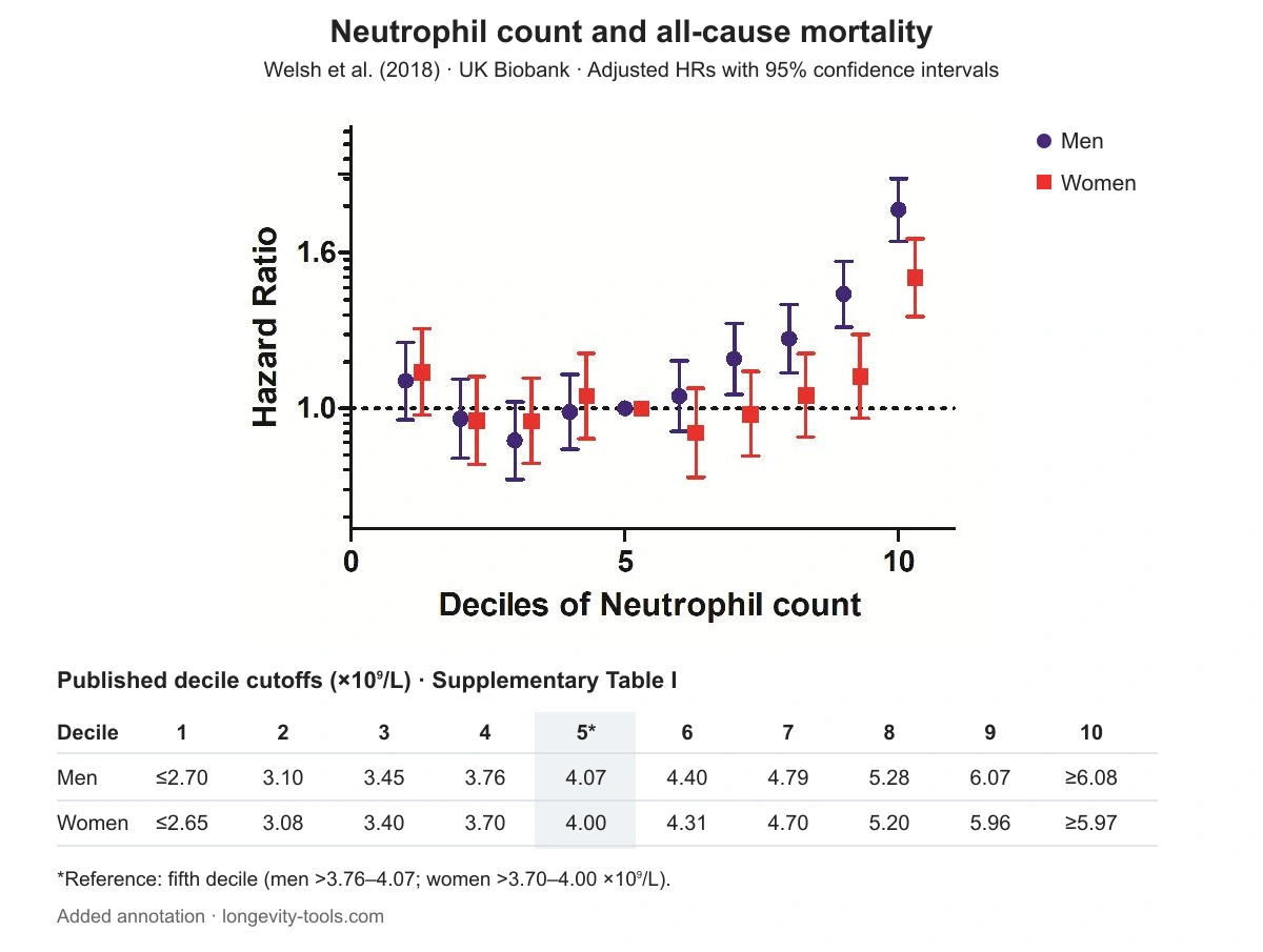 Mortality rose at high neutrophil counts, more steeply in men than in women